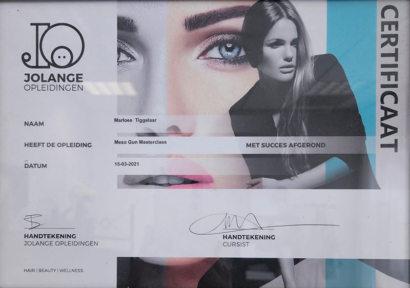 Meso Gun Masterclass – Jolange Opleidingen